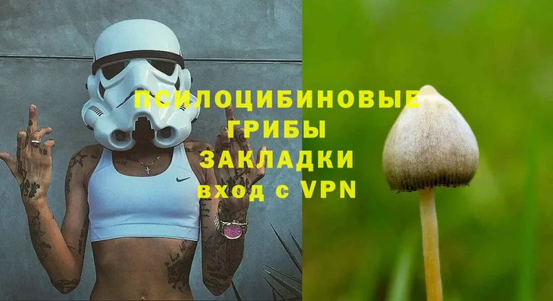 Галлюциногенные грибы Magic Shrooms  Новоуральск 